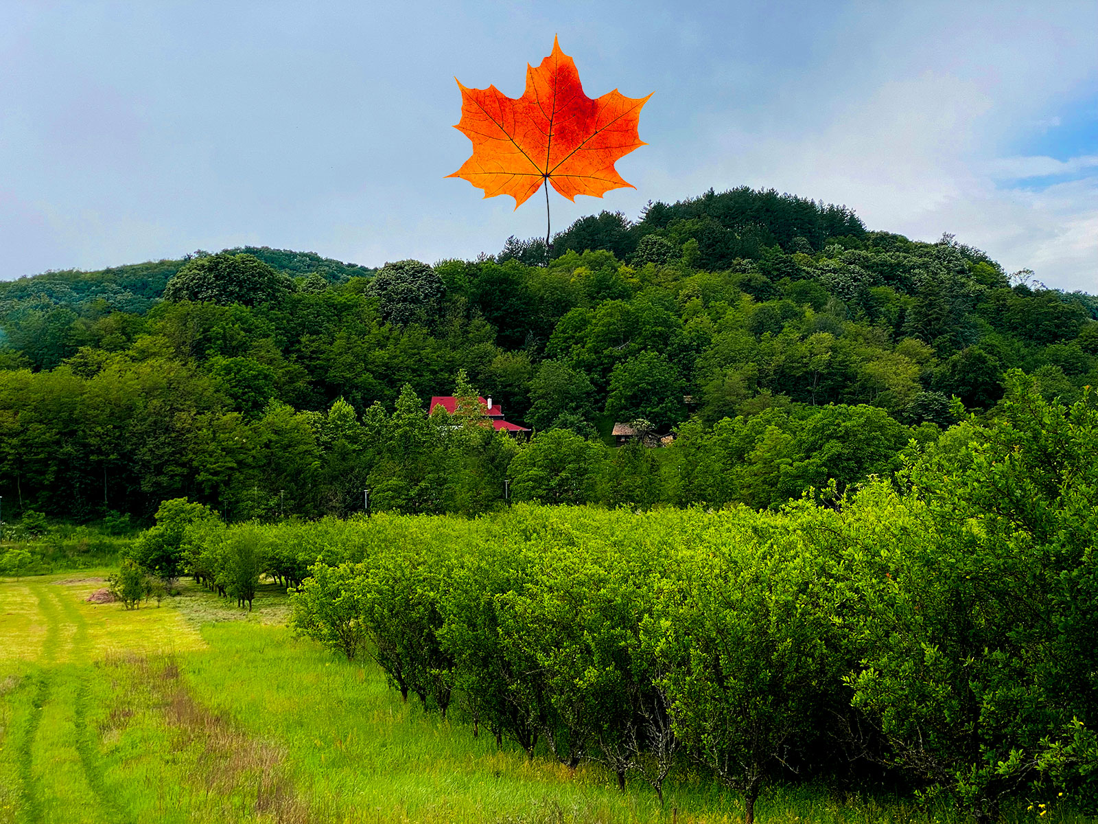 Fruška gora smeštaj cenovnik